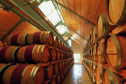 Weingut Gesellmann Blaufränkisch vom Lehm - BIO-Rotwein aus Österreich Deutschkreuz Burgenland trocken (1 x 0.75 l) - 4