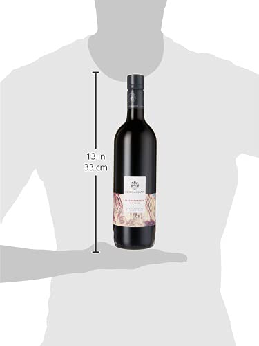 Weingut Gesellmann Blaufränkisch vom Lehm - BIO-Rotwein aus Österreich Deutschkreuz Burgenland trocken (1 x 0.75 l) - 6